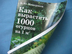 Мещеряков как вырастить 1000 огурцов